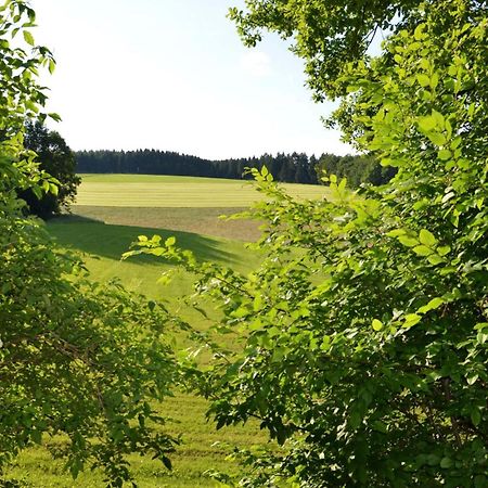 Das Ferienhaus Mondschein Im Land Der Tausend Berge - Erholung Pur In Idyllischer Alleinlage Lennestadt Exterior foto